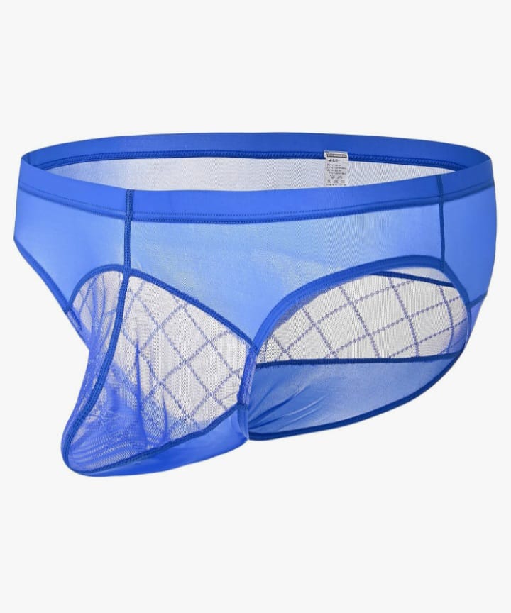 Men’s Underwear Mesh Pouch Briefs See Through Low Rise Ultra Thin Breathable